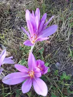 20230908_072815.webp