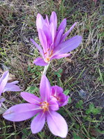 20230908_072815.jpg