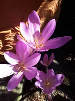 20230909_110433.webp