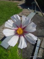 IMG_20230911_122216.jpg