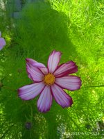 IMG_20230911_122224.jpg