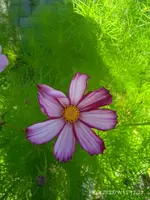 IMG_20230911_122224.webp