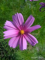 IMG_20230911_122233_1.jpg