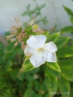 IMG_20230911_123115.jpg