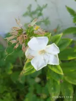 IMG_20230911_123115.webp