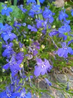 IMG_20230911_123148.webp