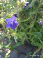IMG_20230911_122342_1.jpg