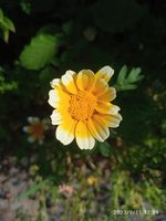 IMG_20230911_122939.jpg