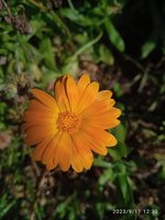 IMG_20230911_123048.jpg