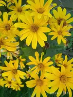 IMG_20230911_123236_1.webp