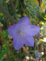 IMG_20230911_123346.jpg