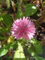 IMG_20230911_123836_1.jpg