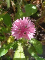 IMG_20230911_123836_1.webp