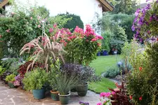 Terasse        6723.webp