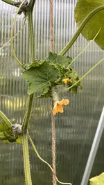 IMG_8046.jpeg