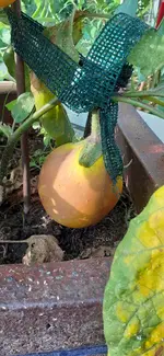 20230913_085842.webp