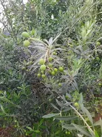 IMG_20230913_091547.webp