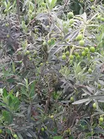 IMG_20230913_091600.webp