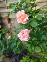 IMG_20230913_093104.jpg