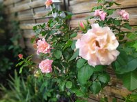 IMG_20230913_093052.jpg