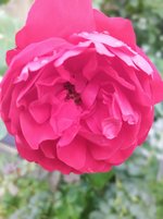 IMG_20230913_092505.jpg