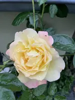 711EB803-E8C6-48AE-AB3B-56D517D96EA0.webp