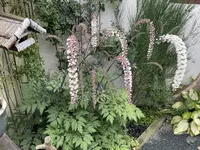 1F4E776E-C29C-4AA5-A2E0-75D89B29842E.webp