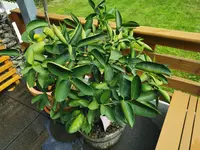 IMG_20230912_143012.webp