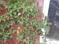 20230913_144955.webp
