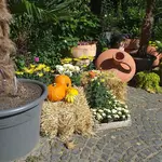 20230914_121546.webp