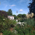 20230914_121811.jpg