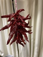 IMG_2738.jpeg