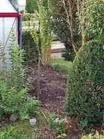 Schmuddelecke.webp Schmuddelecke.webp