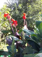 20230914_155922.webp