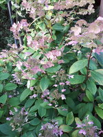 20230914_130954.jpg