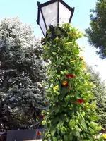 20230914_130747.webp