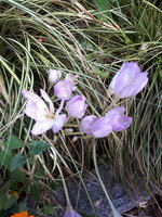 20230914_130651.jpg