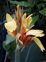 20230913_182456.webp