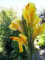 20230914_153103.webp