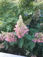 20230914_131000.webp