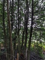IMG_20230914_124324.jpg