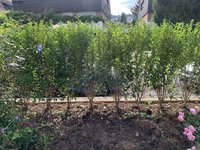 IMG_0362.jpeg