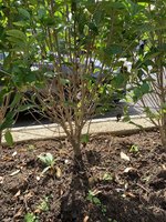 IMG_0363.jpeg