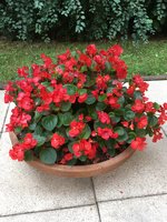 IMG_1168.JPG