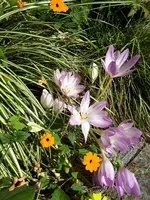 20230915_113229.webp