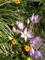20230915_113229.jpg