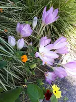 20230915_143500.webp