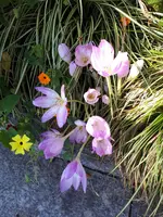 20230915_145416.webp