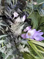 20230915_143516.webp