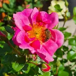 20230916_035235.webp